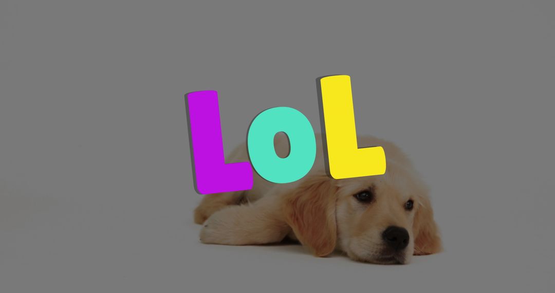 Golden Retriever Puppy with Colorful 'LOL' Overlay