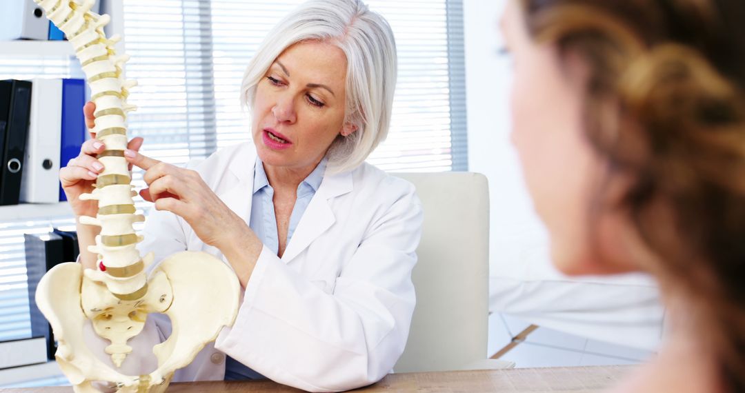 Doctor Explaining Spinal Structure to Patient Using Anatomical Model - Free Images, Stock Photos and Pictures on Pikwizard.com