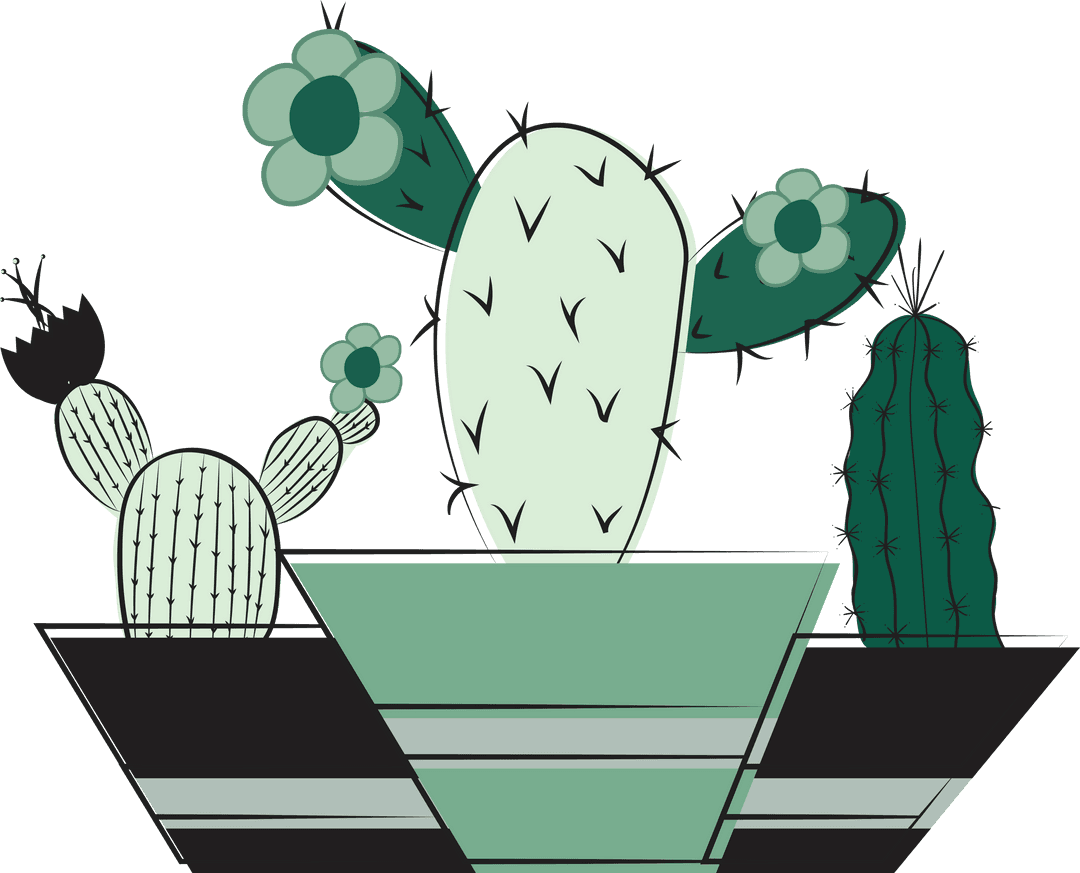 Vector Cacti Illustration on Transparent Background for Interior Decor