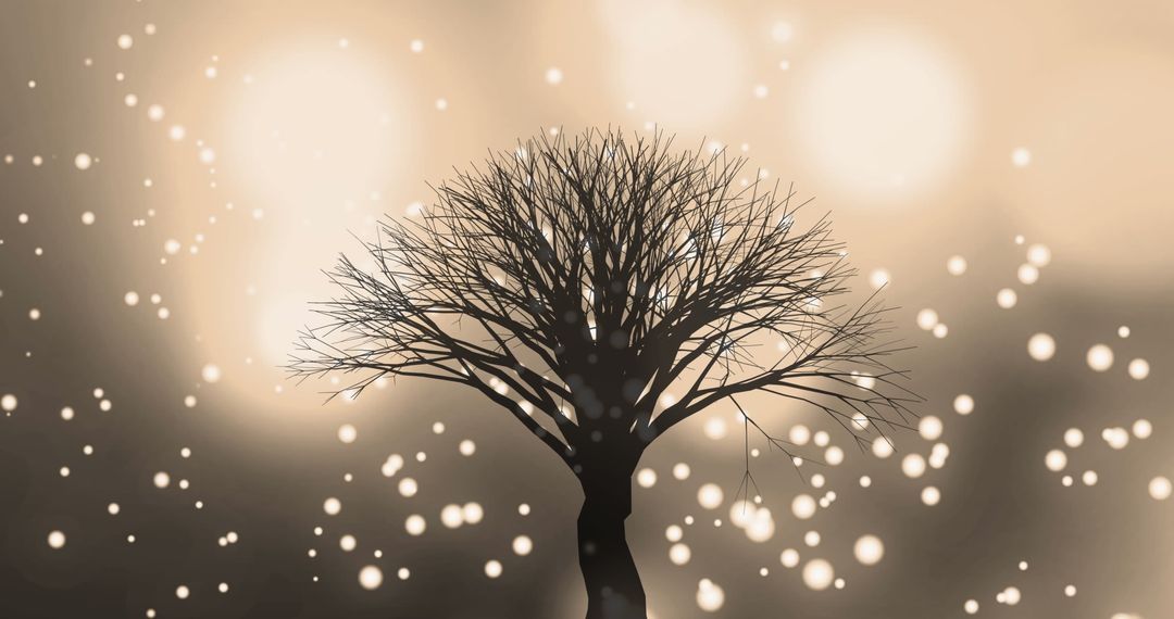 Bare Tree with Glowing Lights in Serene Atmosphere