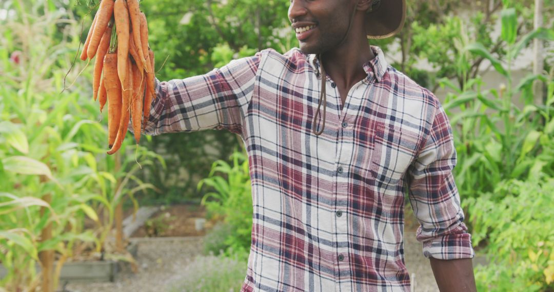 Smiling african american man holding bunch of fresh carrots in garden - Free Images, Stock Photos and Pictures on Pikwizard.com