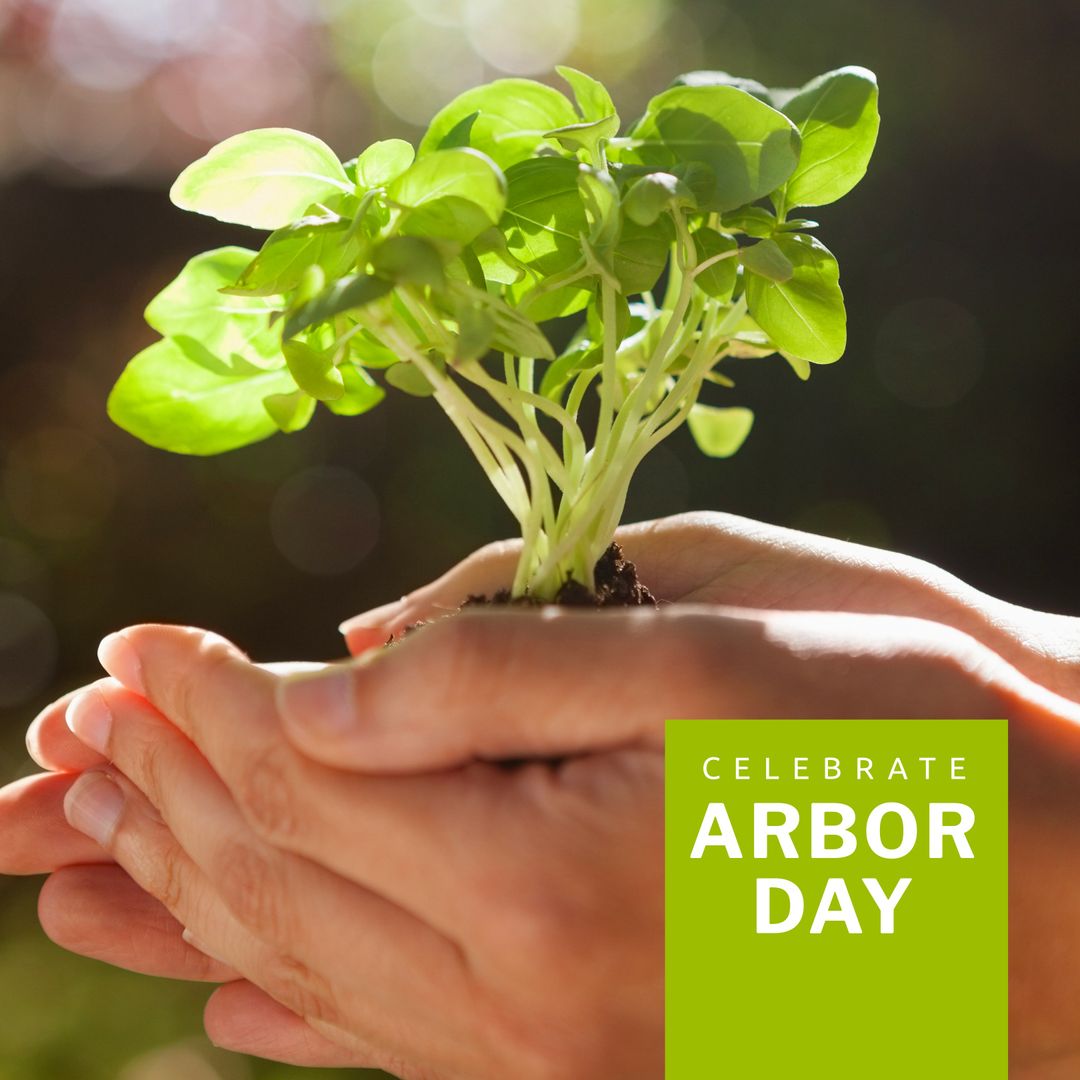 Hands Holding Seedling to Celebrate Arbor Day with Text Overlay - Download Free Stock Templates Pikwizard.com