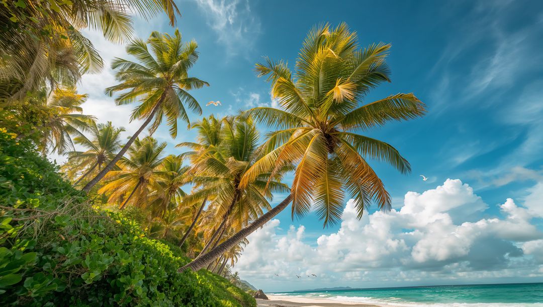 Leaning coconut palms catching sunlight on tropical turquoise beach with seagulls