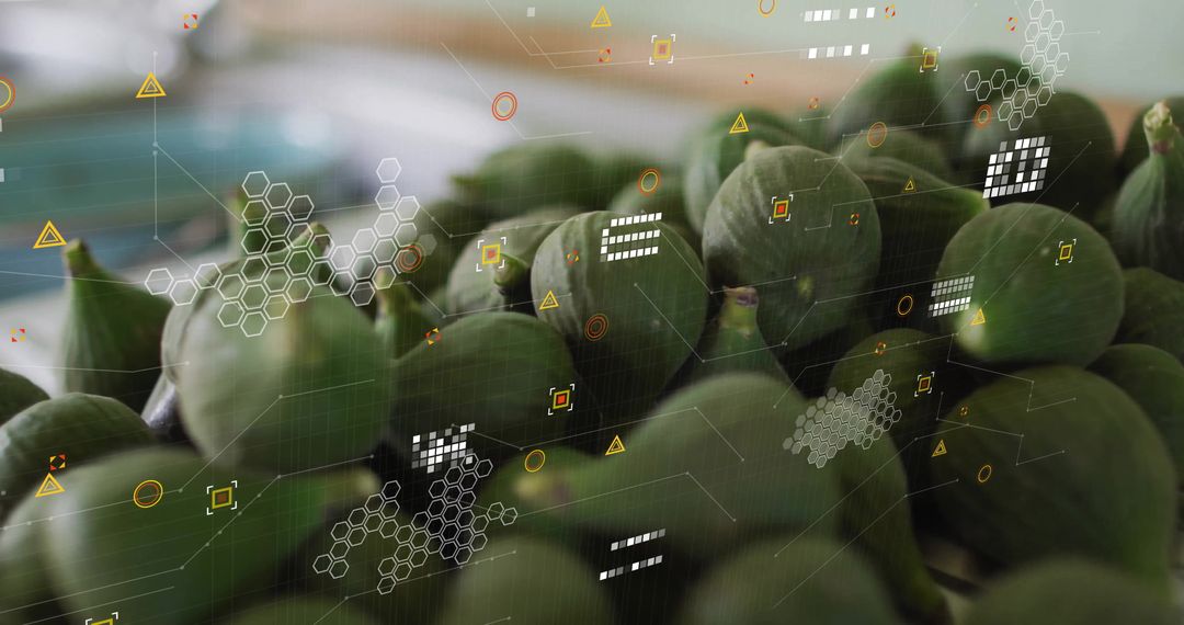 Digital Monitoring of Fresh Green Figs at Market Stall