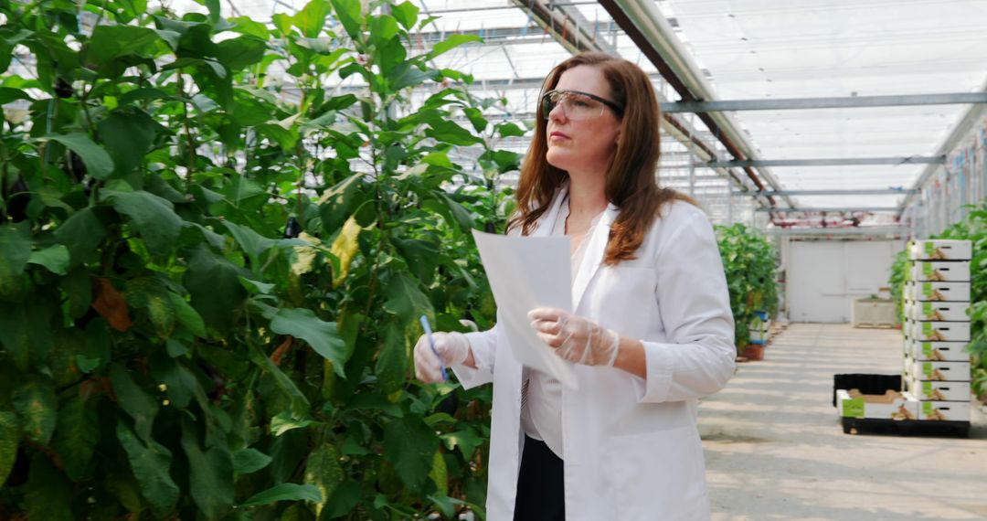 Middle-Aged Woman Scientist Examining Plants in Greenhouse
