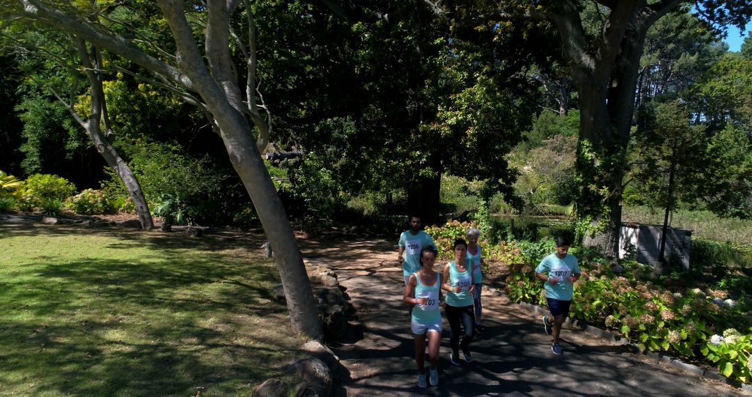 Group of people jogging in park together under trees - Free Images, Stock Photos and Pictures on Pikwizard.com