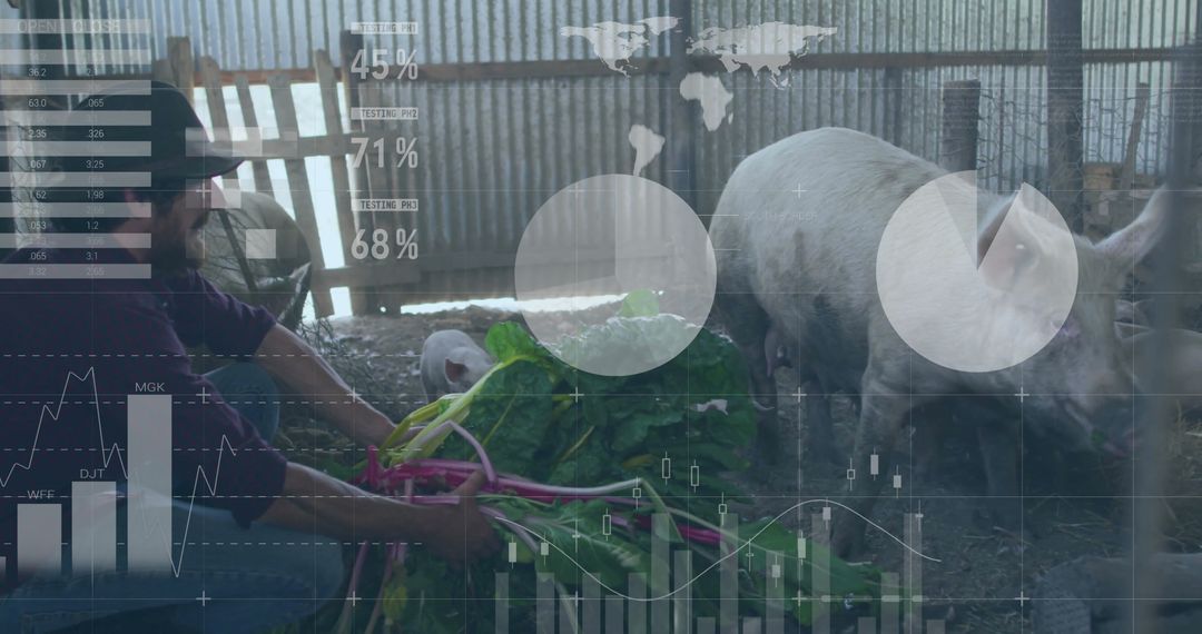 Sustainable Farming with Pigs and Leafy Greens in Rustic Farm