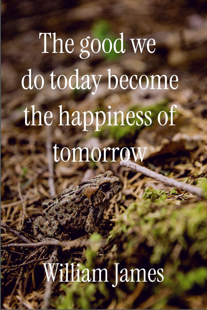 Inspirational Quote by William James on Forest Floor with Frog - Download Free Stock Templates Pikwizard.com