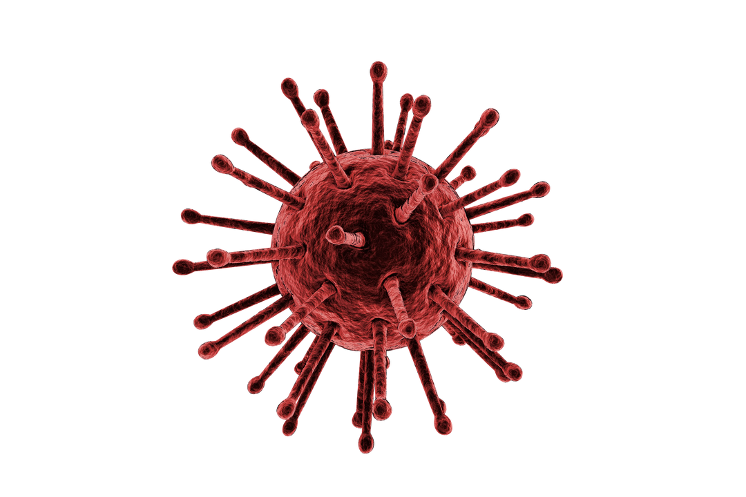 Digital Illustration of Red Virus on Transparent Background, Health and Medical Concept - Download Free Stock Images Pikwizard.com