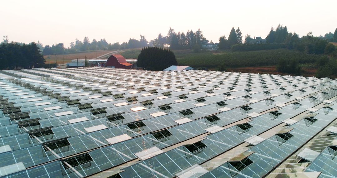 Aerial View of Greenhouse Structures in Countryside Setting on Misty Morning - Free Images, Stock Photos and Pictures on Pikwizard.com