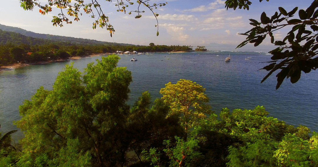 Scenic River View Through Lush Green Trees on Cloudy Day