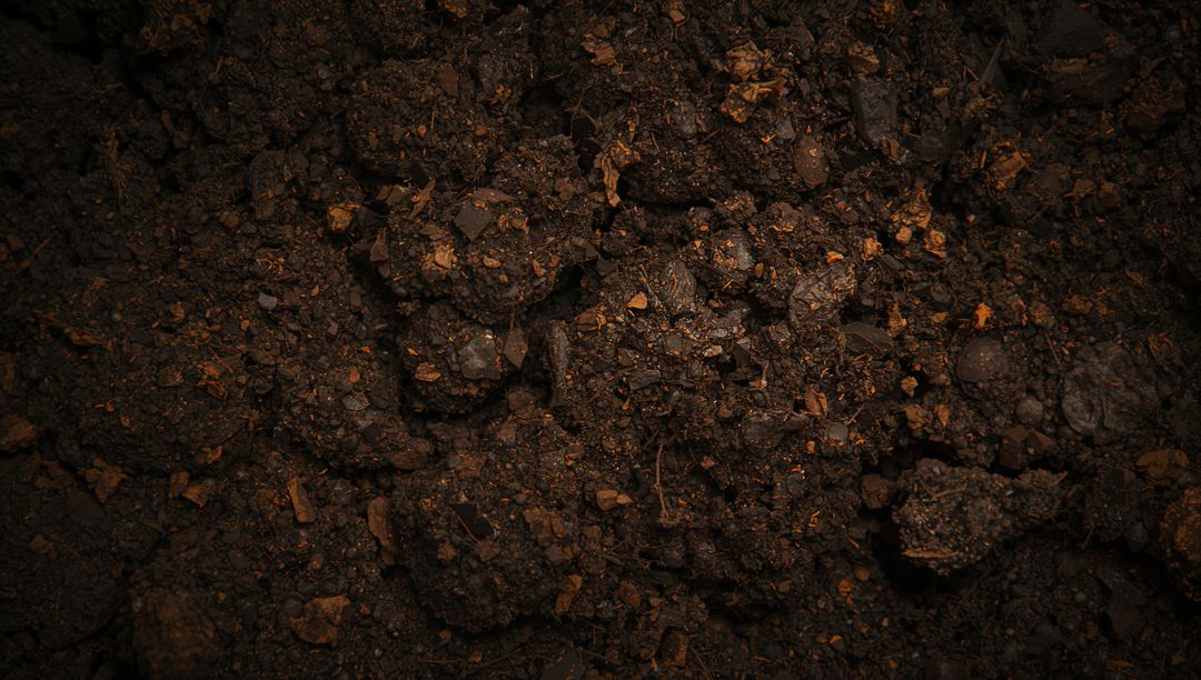 Close-Up Moist Garden Soil Clumping with Mulch, Pebbles and Organic Compost Texture