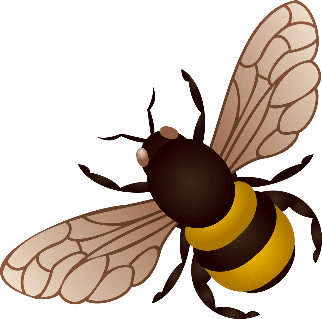 Detailed Bee Vector Graphic with Transparent Background