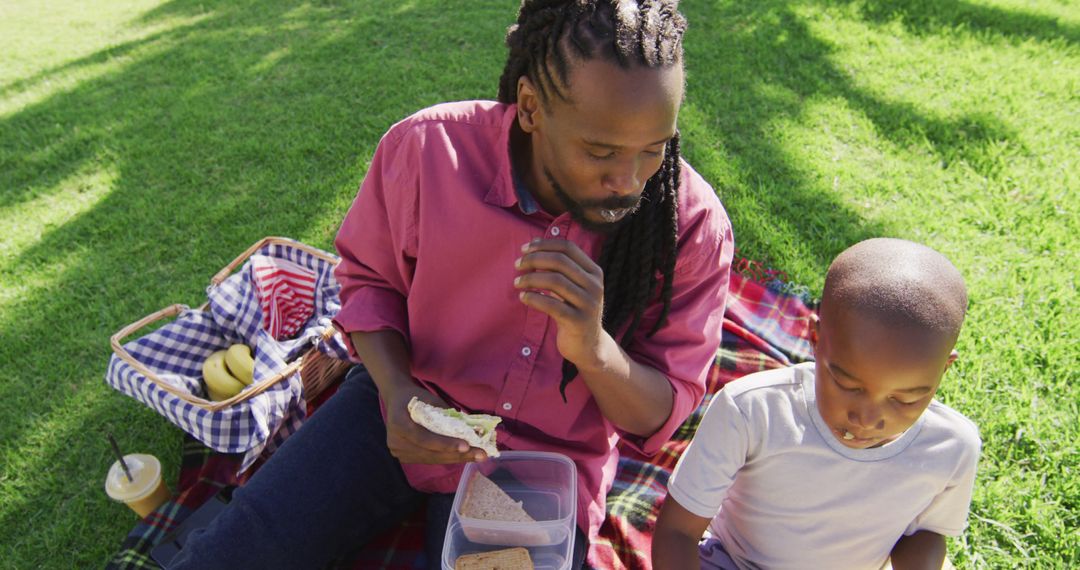 Image of happy african american father and son having picnic outdoors on sunny day - Free Images, Stock Photos and Pictures on Pikwizard.com