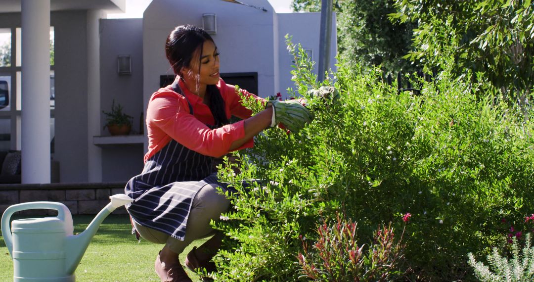 Woman Gardening in Backyard Trimming Bush with Scissors - Free Images, Stock Photos and Pictures on Pikwizard.com