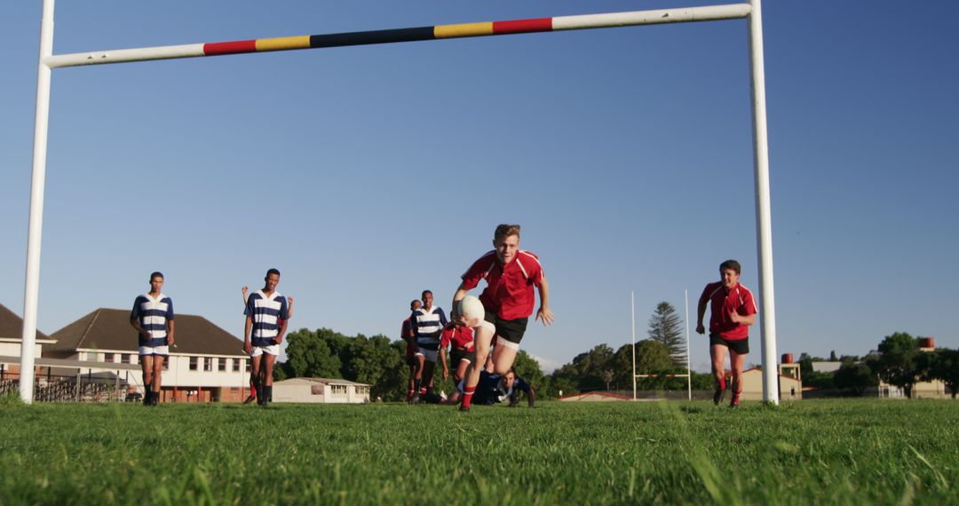 Rugby Players Practicing Outdoor in a Sunny Day - Free Images, Stock Photos and Pictures on Pikwizard.com