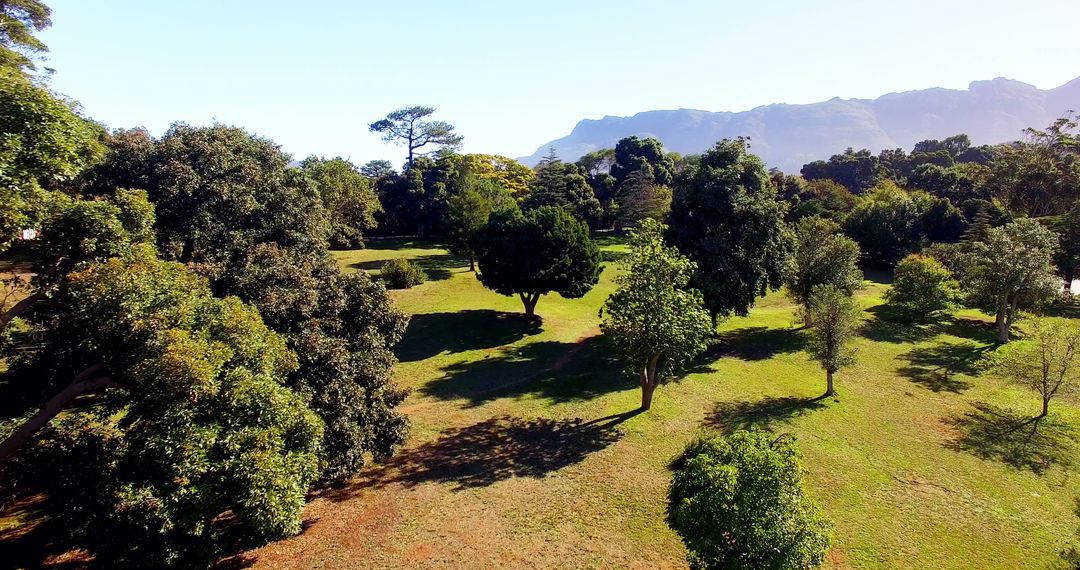 Arial View of Scenic Green Park with Distant Mountains - Free Images, Stock Photos and Pictures on Pikwizard.com