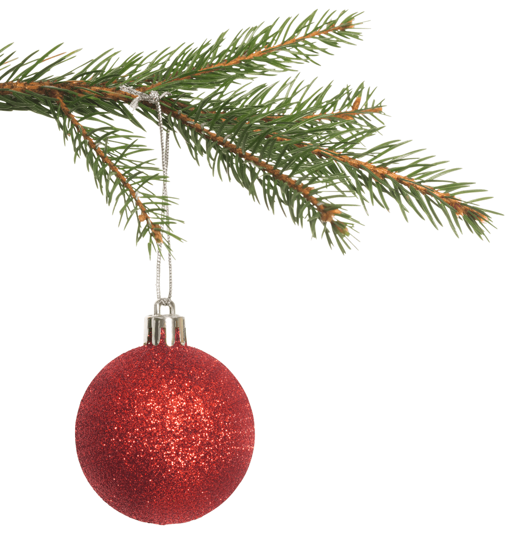Transparent Spruce Branch Hanging with Red Christmas Ornament