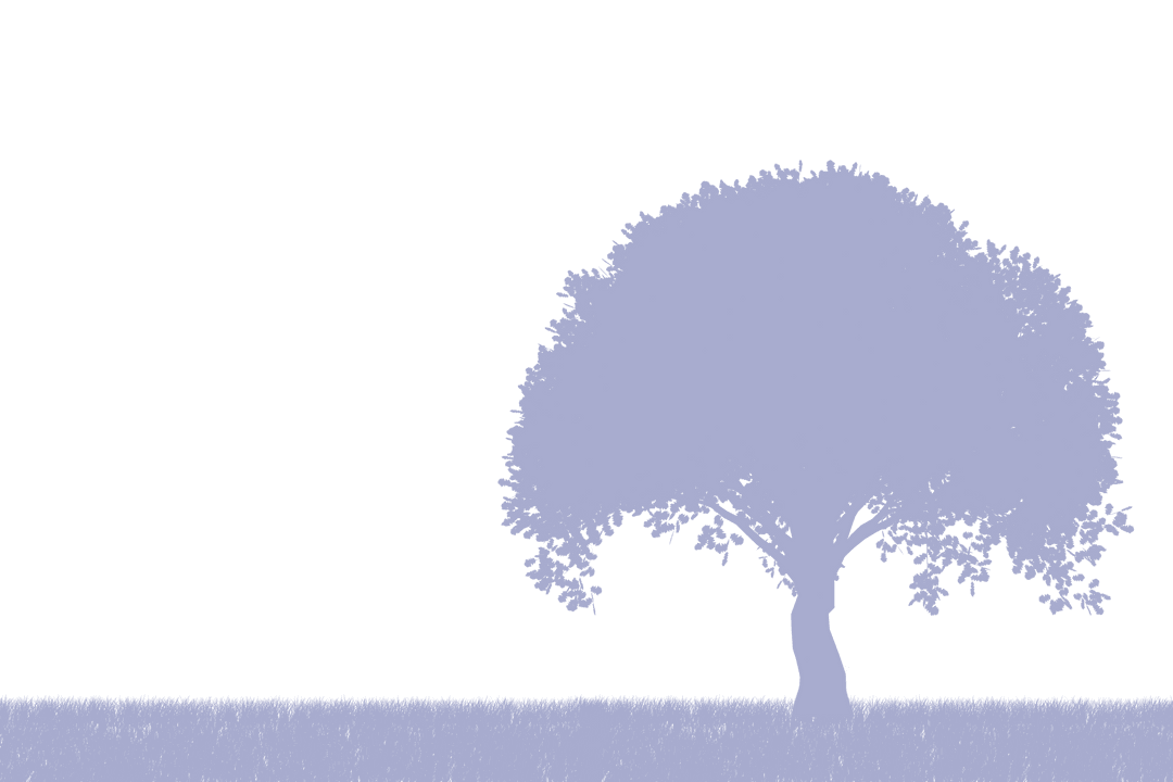 Transparent Silhouette of Tree on Vast Landscape Under Open Sky