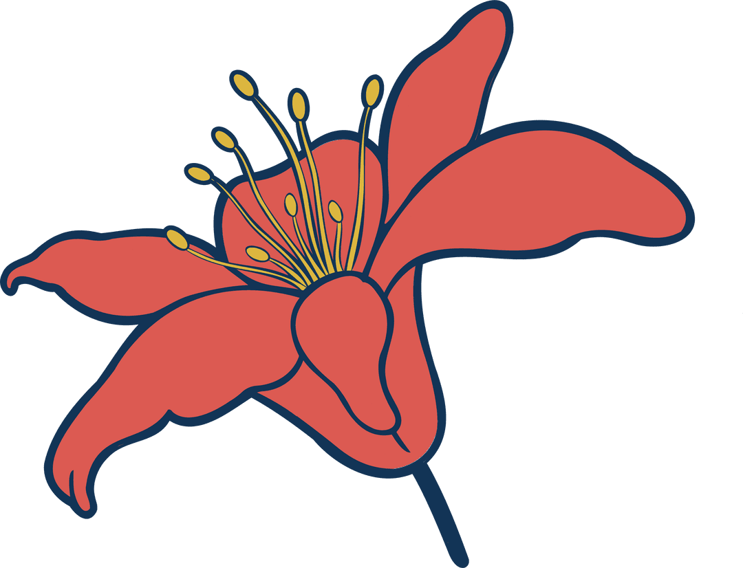 Minimalistic Red Flower with Curved Petals on Transparent Background
