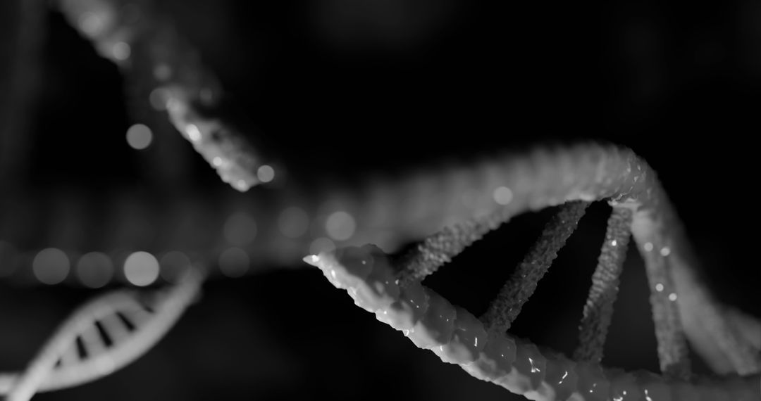 Close-Up of DNA Strands on Black Background
