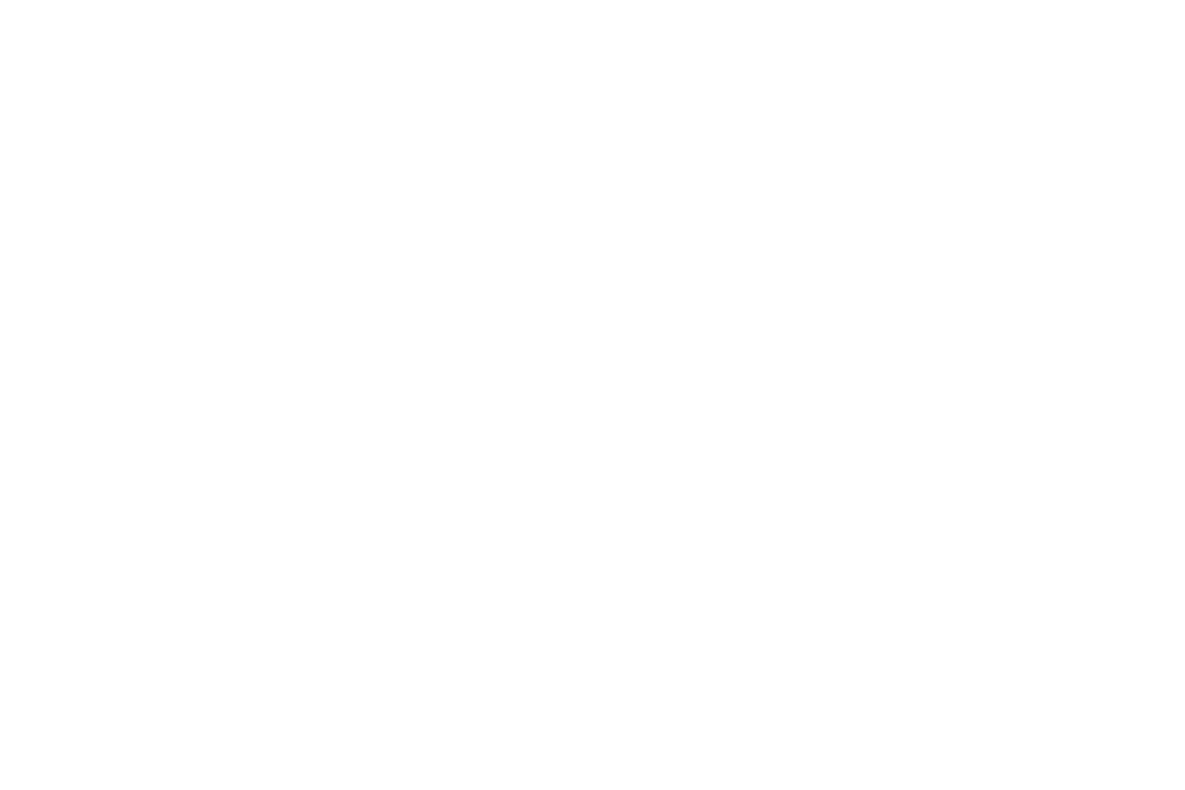 Elegant White Branches on Transparent Background Design