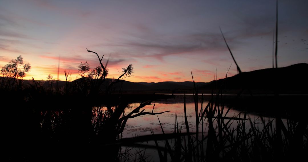 Serene Sunset over Tranquil Lake with Silhouetted Reeds and Mountains - Free Images, Stock Photos and Pictures on Pikwizard.com