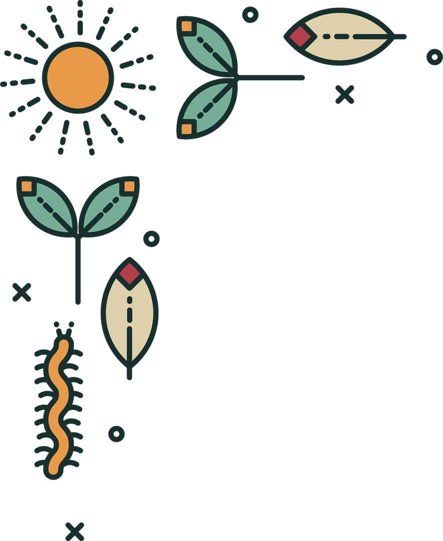 Transparent Nature Themed Illustrative Frame with Worm and Leaves