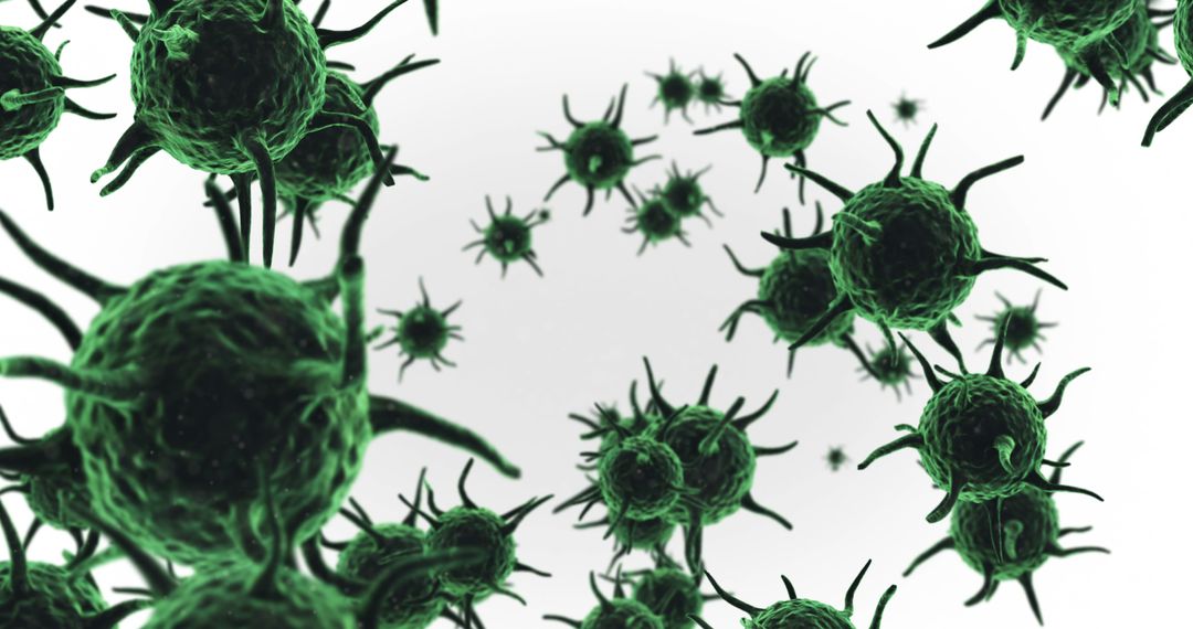 Close-up View of Viruses with Green Spikes on White Background - Free Images, Stock Photos and Pictures on Pikwizard.com