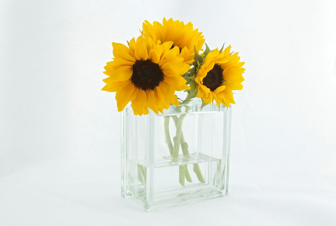 Sunflowers vase decor - Free Images, Stock Photos and Pictures on Pikwizard.com