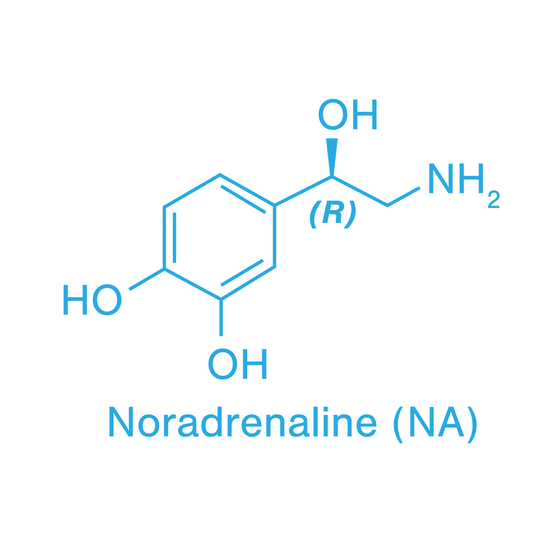 Transparent Chemical Structure of Noradrenaline Molecule