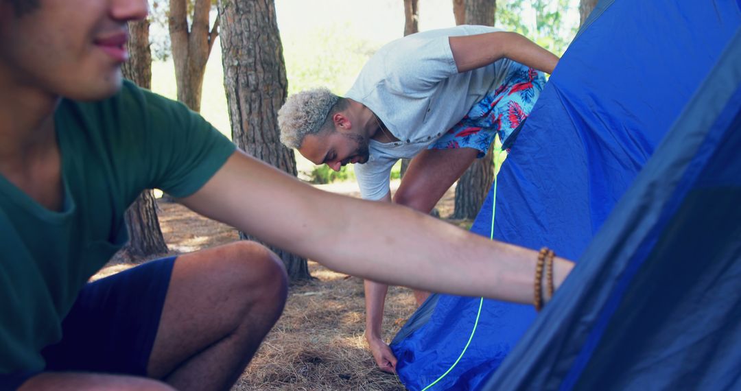 Friends Setting Up Tent in Forest Campground - Free Images, Stock Photos and Pictures on Pikwizard.com