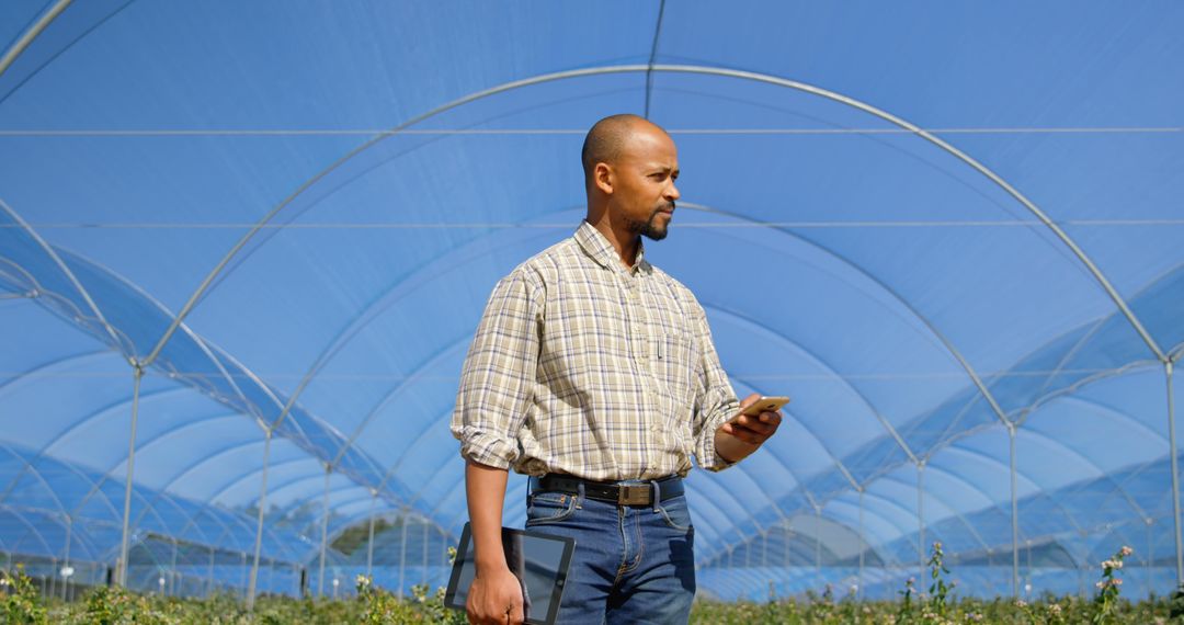 Agricultural Engineer Analyzing Crops in Modern Greenhouse with Technology - Free Images, Stock Photos and Pictures on Pikwizard.com