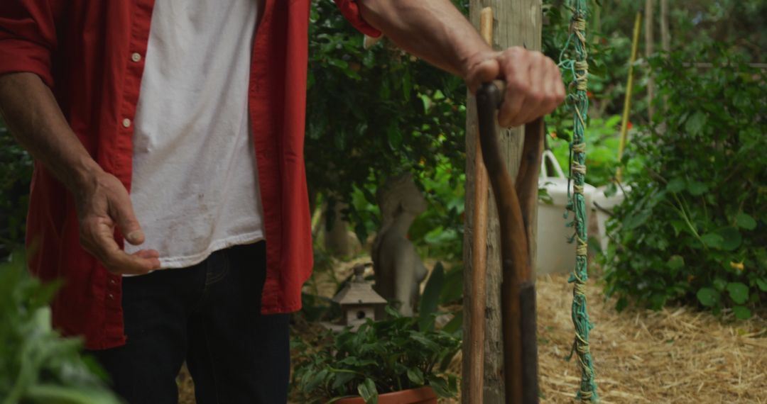 Senior Man Engaging in Gardening with Fork on a Sunny Day