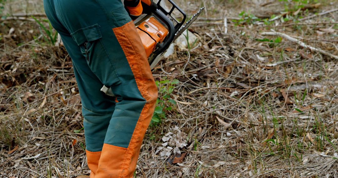 Arborist Working with Chainsaw in Forest Clearing - Free Images, Stock Photos and Pictures on Pikwizard.com