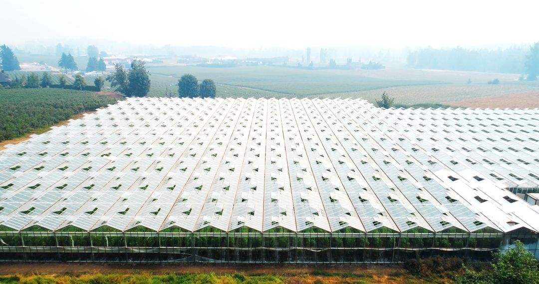 Aerial View of Modern Greenhouse Facilities on Agricultural Field - Free Images, Stock Photos and Pictures on Pikwizard.com