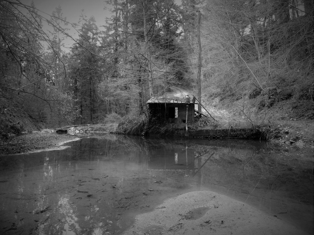 Abandoned Cabin by Secluded Forrest Stream in Black and White - Free Images, Stock Photos and Pictures on Pikwizard.com