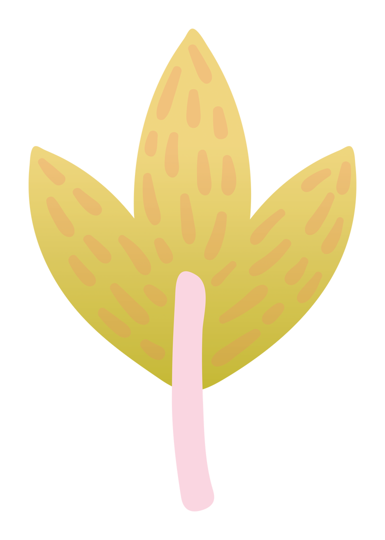 Yellow Flower Illustration On Transparent Background - Download Free Stock Images Pikwizard.com