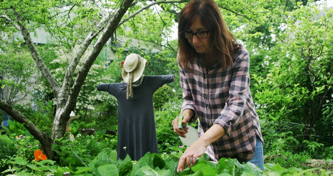 Woman Tending Garden with Scarecrow in Green Backyard - Free Images, Stock Photos and Pictures on Pikwizard.com