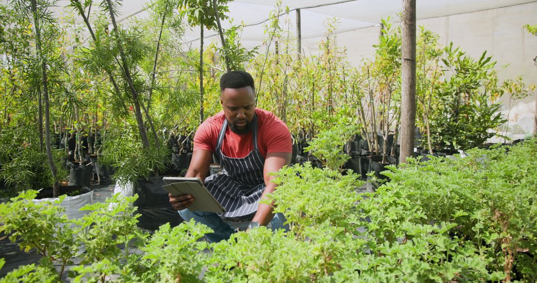 Gardener Using Tablet While Managing Greenhouse Plants