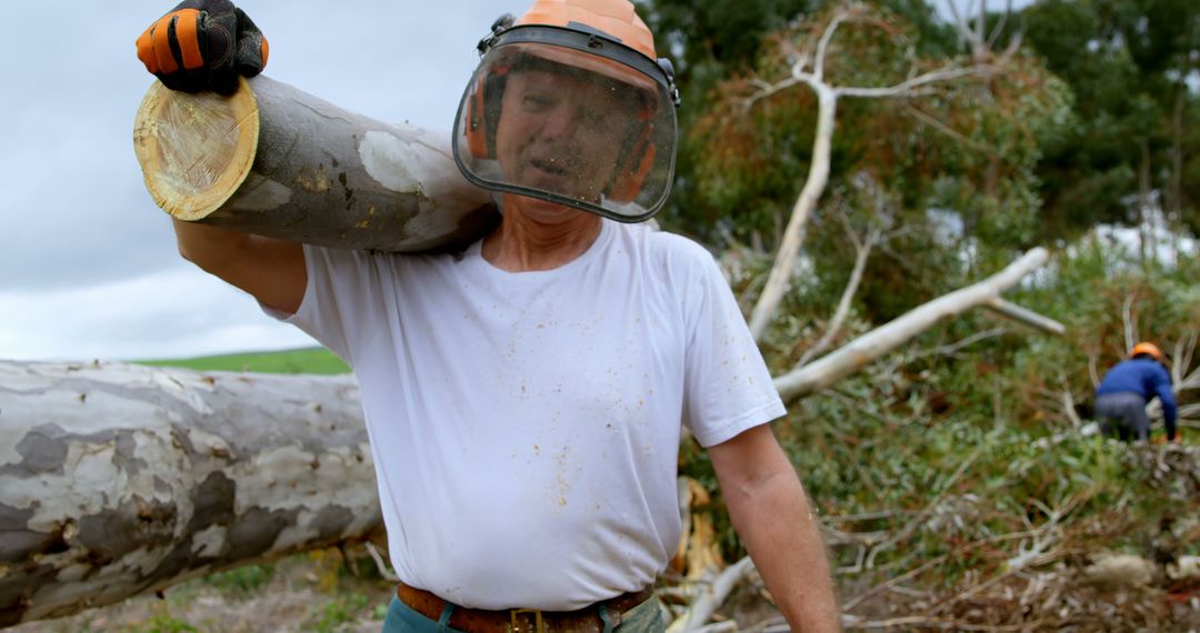 Forest Worker Carrying Log with Protective Gear - Free Images, Stock Photos and Pictures on Pikwizard.com