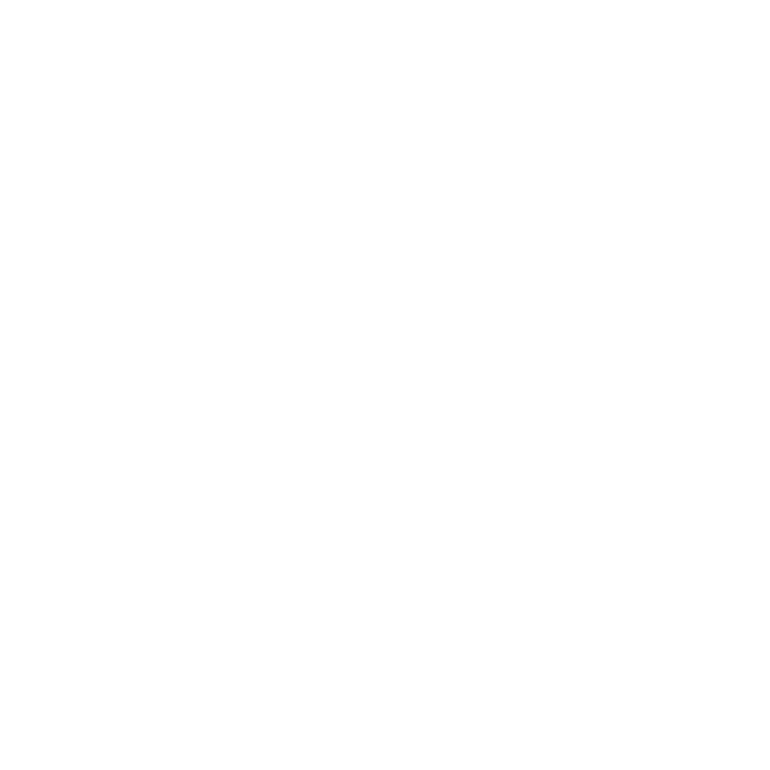 Stylized White Flowers Pattern on Transparent Background