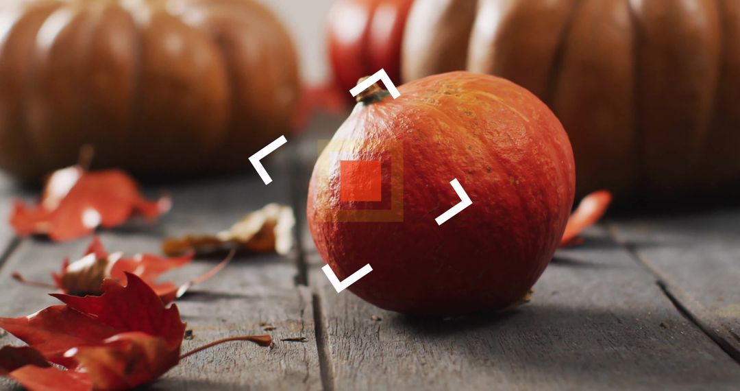 Autumn Pumpkin on Rustic Wooden Surface with Falling Leaves