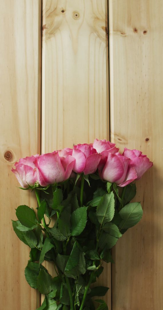 Bouquet of Pink Roses on Wooden Surface Celebrates Love and Romance - Free Images, Stock Photos and Pictures on Pikwizard.com