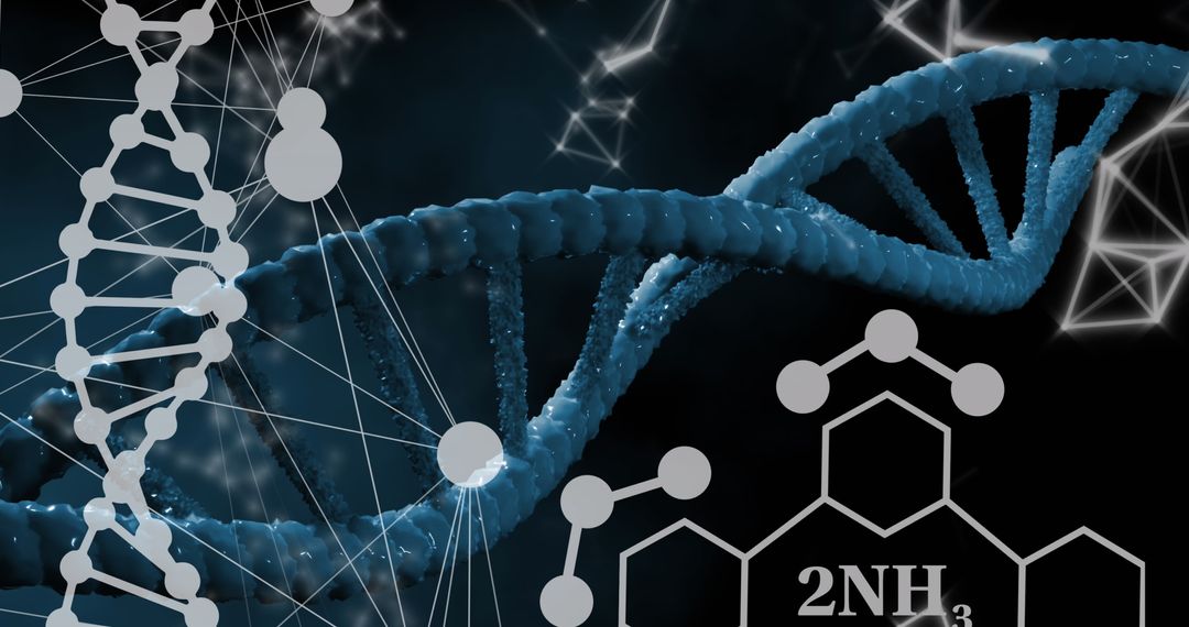 Digital Connections Between DNA Strand and Chemical Structures