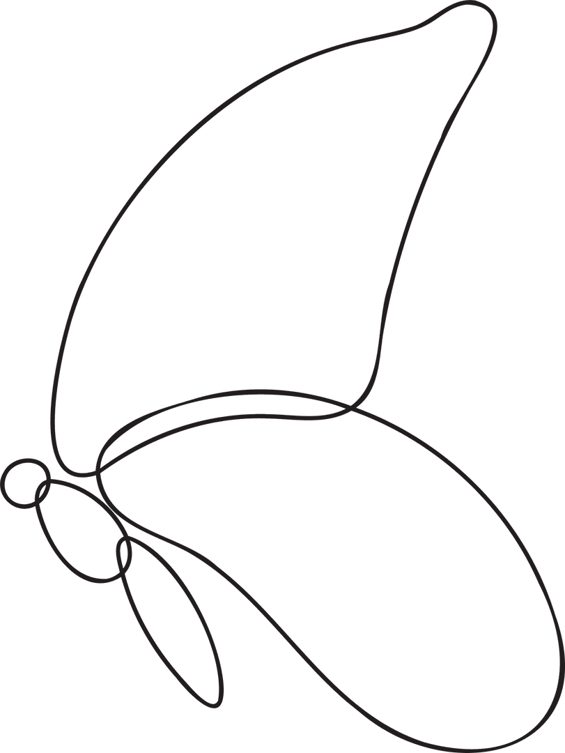 Elegant Continuous Line Butterfly on Transparent Canvas - Download Free Stock Images Pikwizard.com