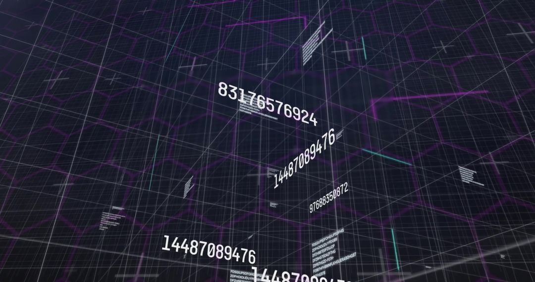 Abstract digital data network with dynamic numbers