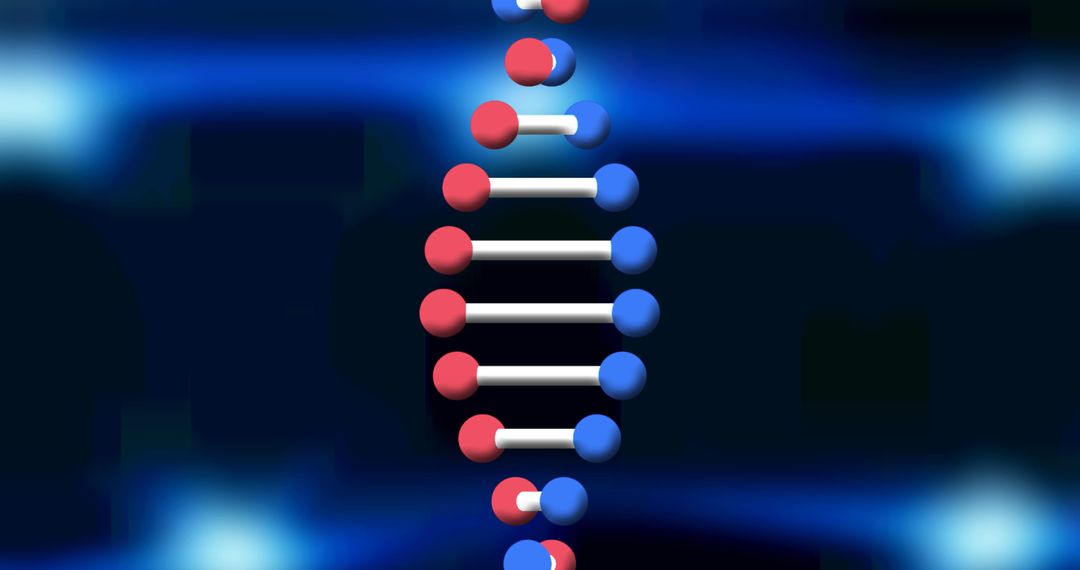 Digital Representation of Spinning DNA Double Helix Structure