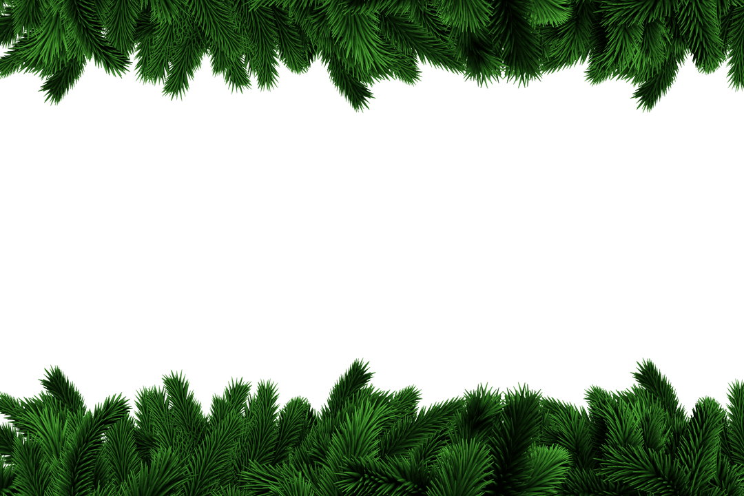 Transparent Fir Tree Branches Border Blank Background