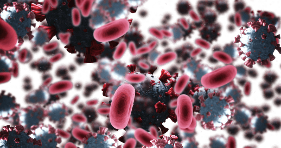 Transparent Viral Covid-19 and Blood Cell Elements